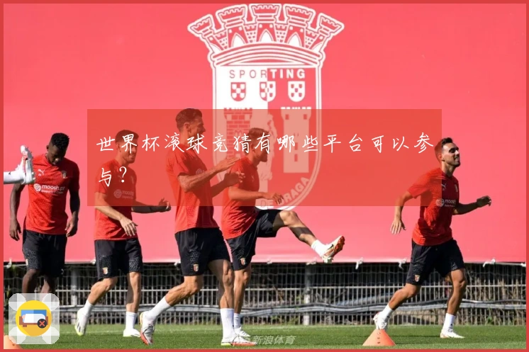 世界杯滚球竞猜有哪些平台可以参与？