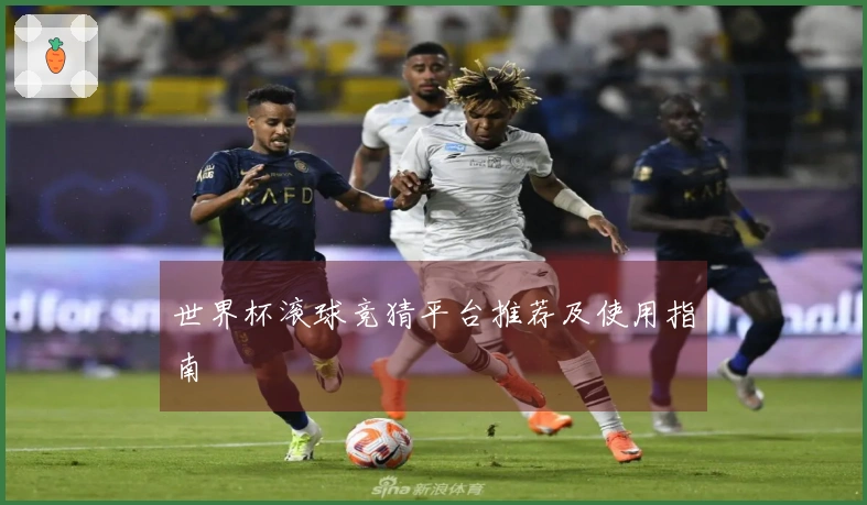 世界杯滚球竞猜平台推荐及使用指南