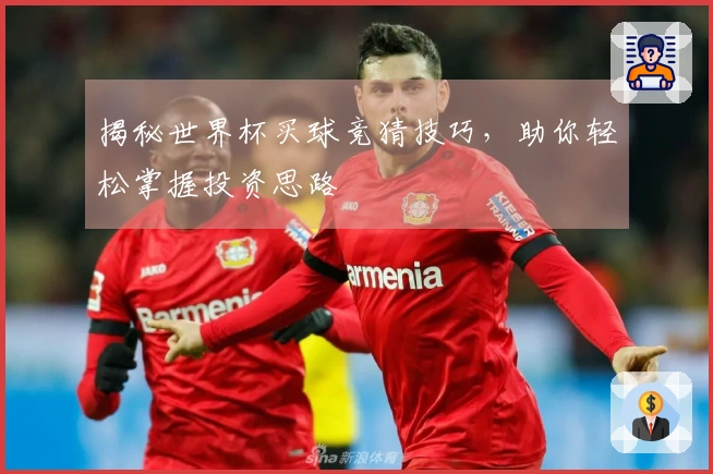 揭秘世界杯买球竞猜技巧，助你轻松掌握投资思路