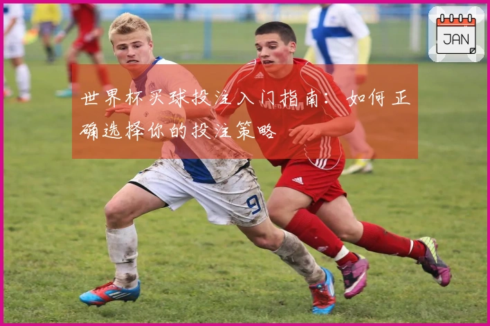 世界杯买球投注入门指南：如何正确选择你的投注策略